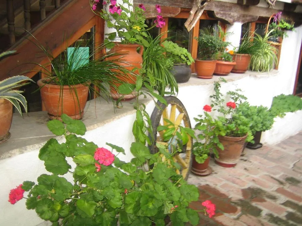 Dedo Pene Inn Bansko Guest house